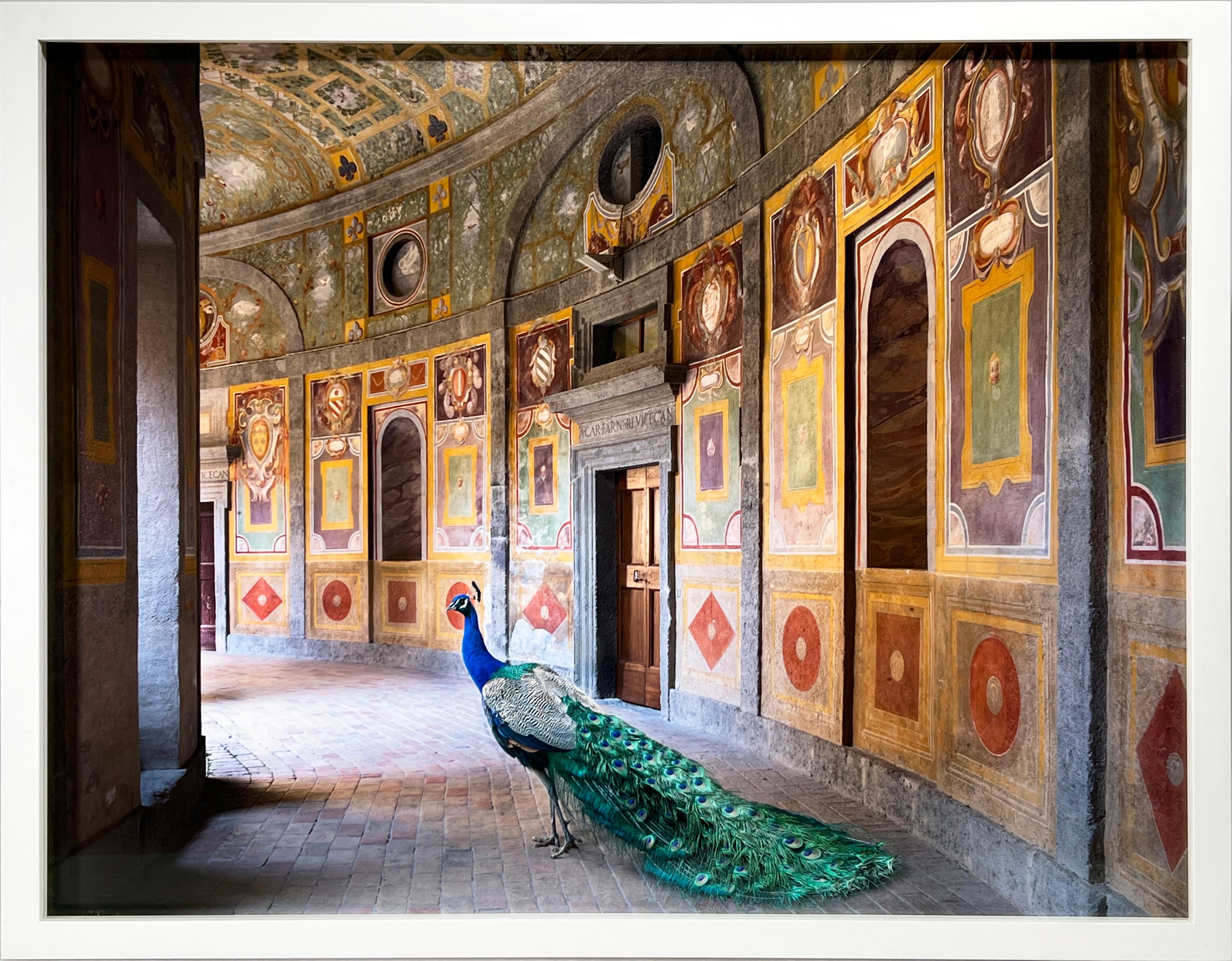 Heaven's Vault, Villa Farnese, Caprarola - Photograph by Karen Knorr