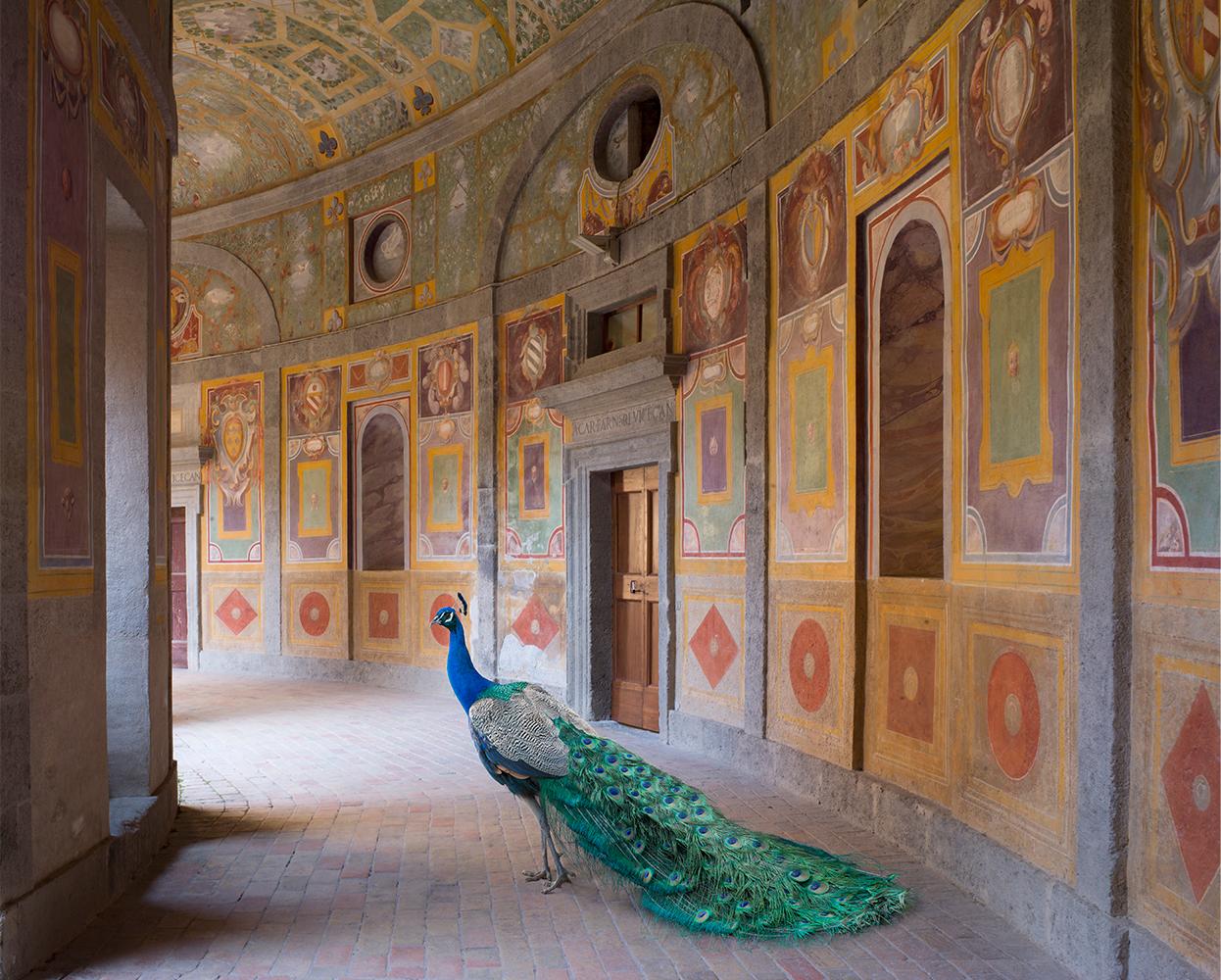 Karen Knorr Color Photograph - Heaven's Vault, Villa Farnese, Caprarola