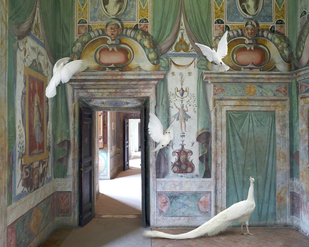Immaculate Conception, Villa De’este, 2015