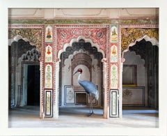 Search for Sattva, Ahhichatragarh Fort, Nagaur