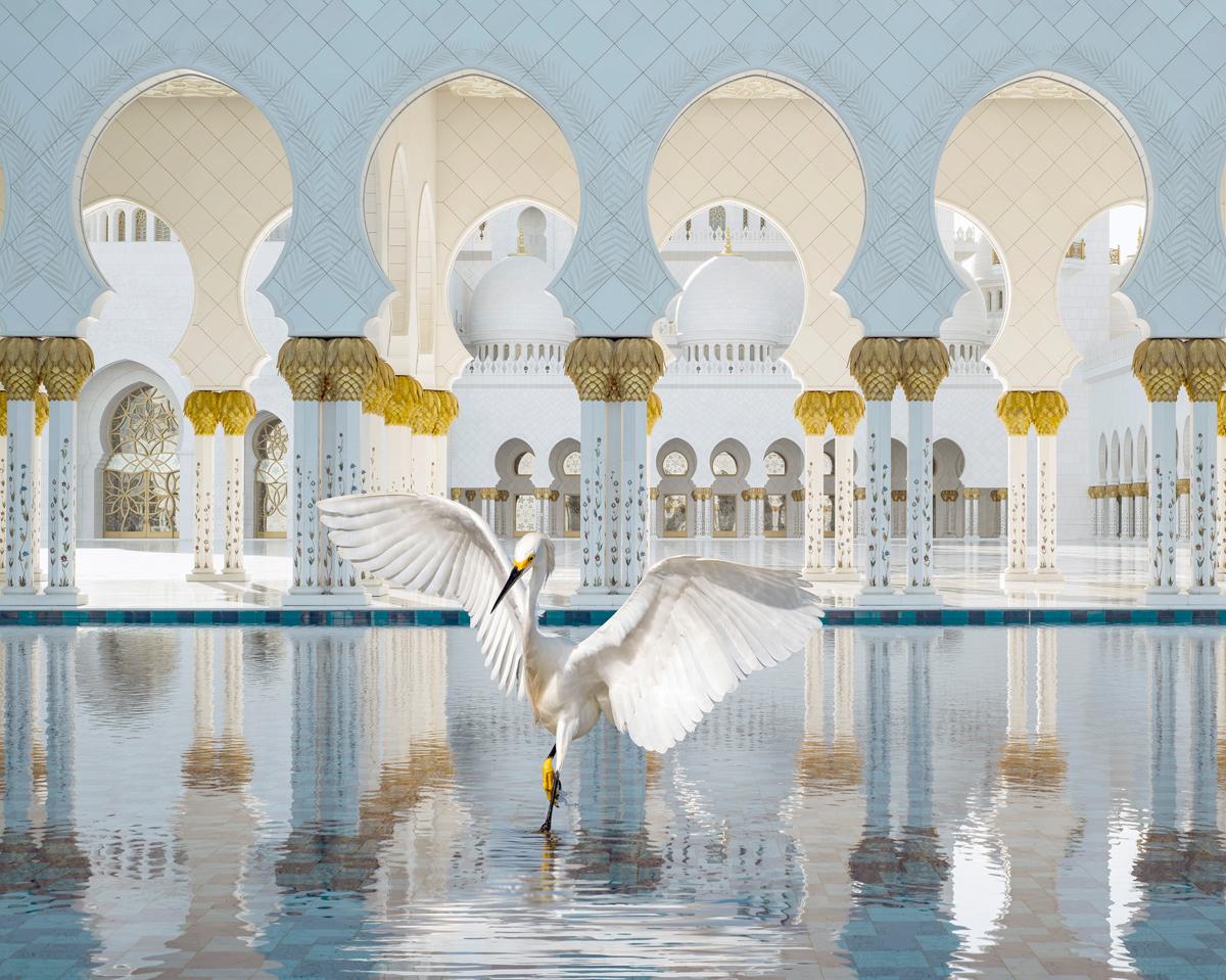 Karen Knorr Color Photograph - The Way of Ishq, Grand Mosque, Abu Dhabi, 2019