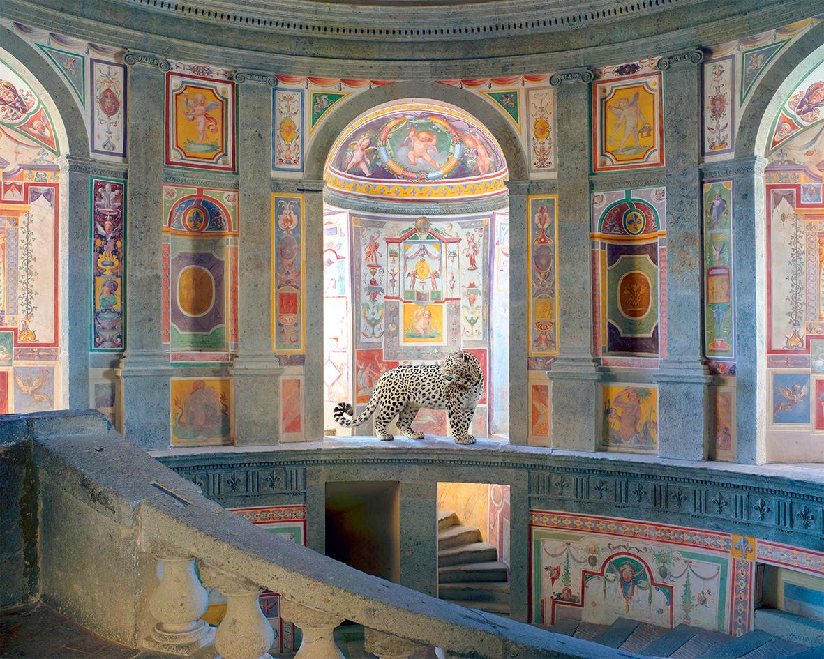Color Photograph Karen Knorr - Les vents du changement, Villa Farnese, Caprarola, 2014