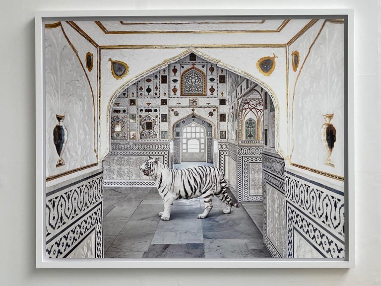 Tiger Breath, Seesh Mahal, Amer Fort, 2020 - Photograph by Karen Knorr