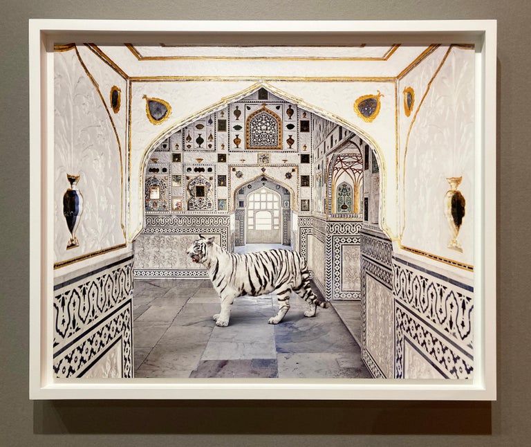 Tiger Breath, Seesh Mahal, Amer Fort, 2020 - Gray Color Photograph by Karen Knorr