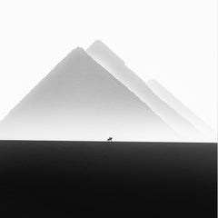 „Horse and Pyramids“ Fotografie 64" x 64" gerahmt von Karim