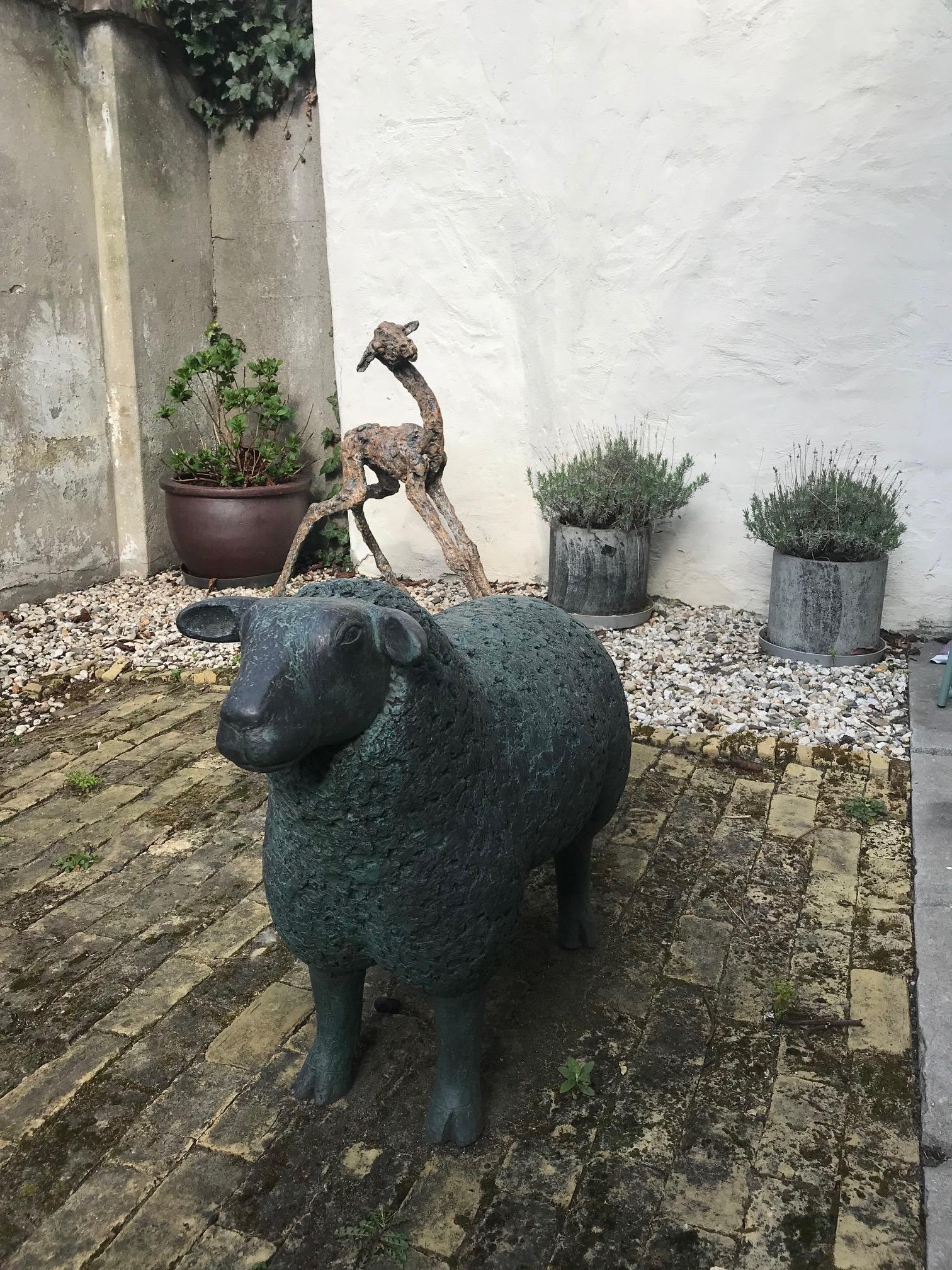 ''Large Sheep I'' Dutch Contemporary Bronze Sculpture of Sheep 1