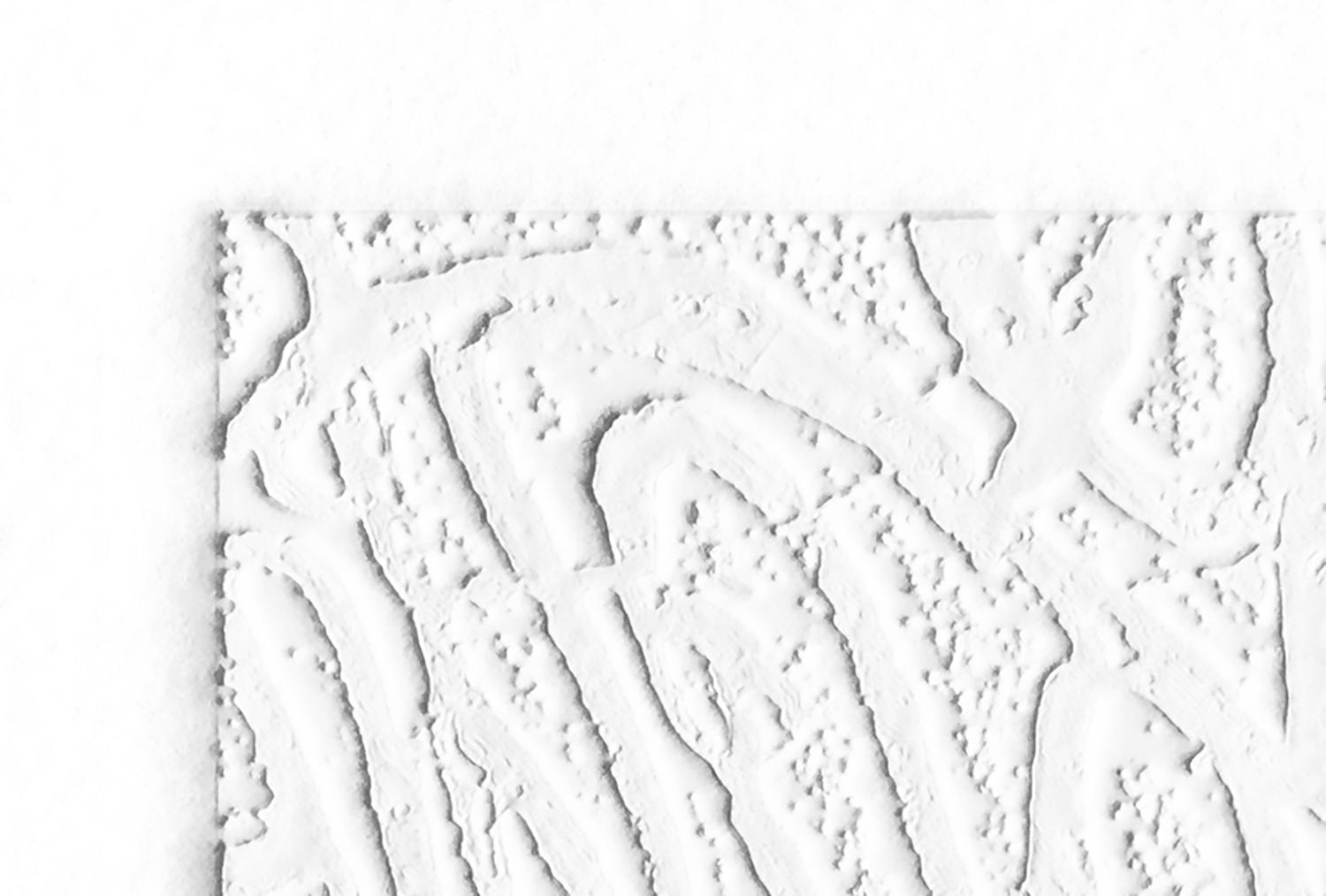 LoopDiLoop  (motif, organique, abstrait, noir et blanc, gaufrage à l'aveugle) - Abstrait Print par Karin Bruckner