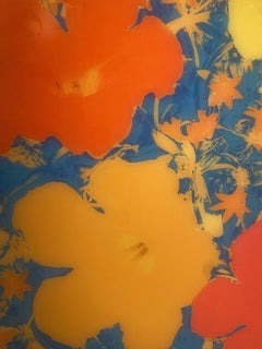Second Hand Flowers Nr. 24 - Natur Farb- und Formfotografie Hommage an Warhol