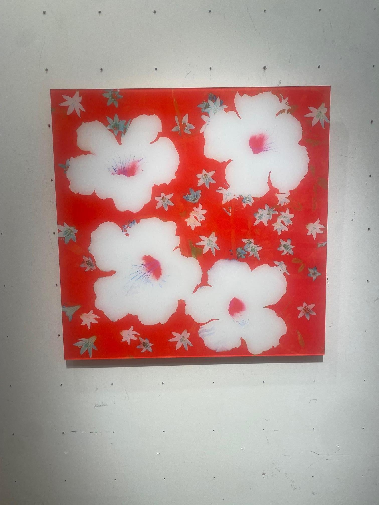 Second Hand Flowers Nr. 47 ist eine einzigartige Fotoarbeit der deutschen Künstlerin Karin Elmers. C-Print auf Fotopapier, aufgezogen auf Alu-Dibond unter 3 mm Acryl.  Einfacher Aufhängemechanismus auf der Rückseite. Inklusive Zertifikat.

Die