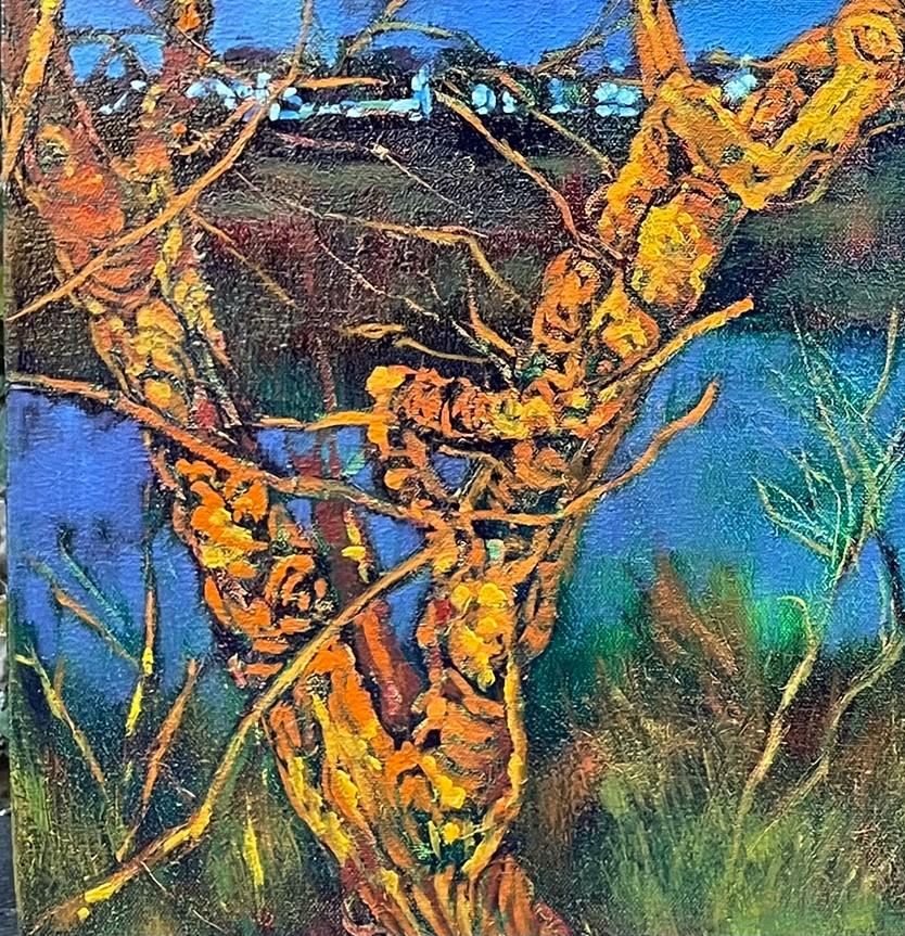 A medium sized, unique oil painting on stretched canvas, ready to hang. 
This is a scene from the woods in Rondebosch Common in Cape Town, South Africa. 

