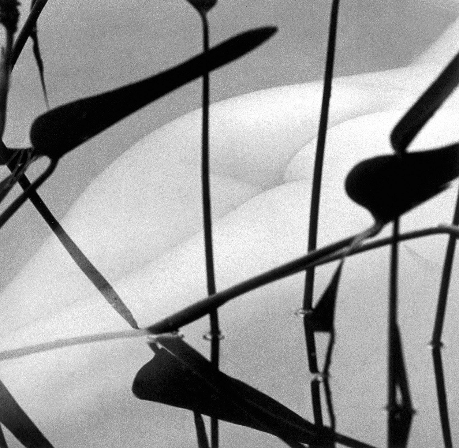 Karin Rosenthal Nude Photograph – Nackt unter Wasser