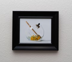 "L'alchimista alato" - Natura morta contemporanea dipinta a olio su pannello di alluminio