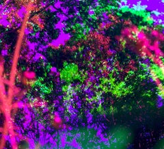 Cosmos 1, 2024 - New York Garden Landscape Art Interior Design