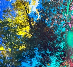 Cosmos 2, 2024 - New York Garden Landscape Art Interior Design