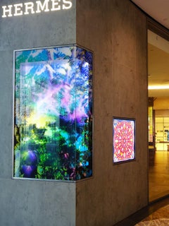 Cosmos 4, 2024 - New York Garden Landscape Photography Art Interior Design