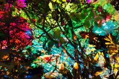 Heterotopia #45 von Karine Laval - Abstrakte Nature Fotografie, Neon Fotografie