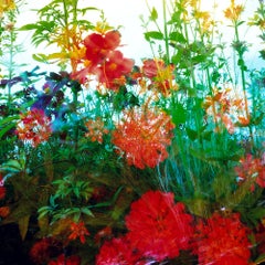 Heterotopia #47 par Karine Laval - Photographie couleur abstraite, Photographie de Nature