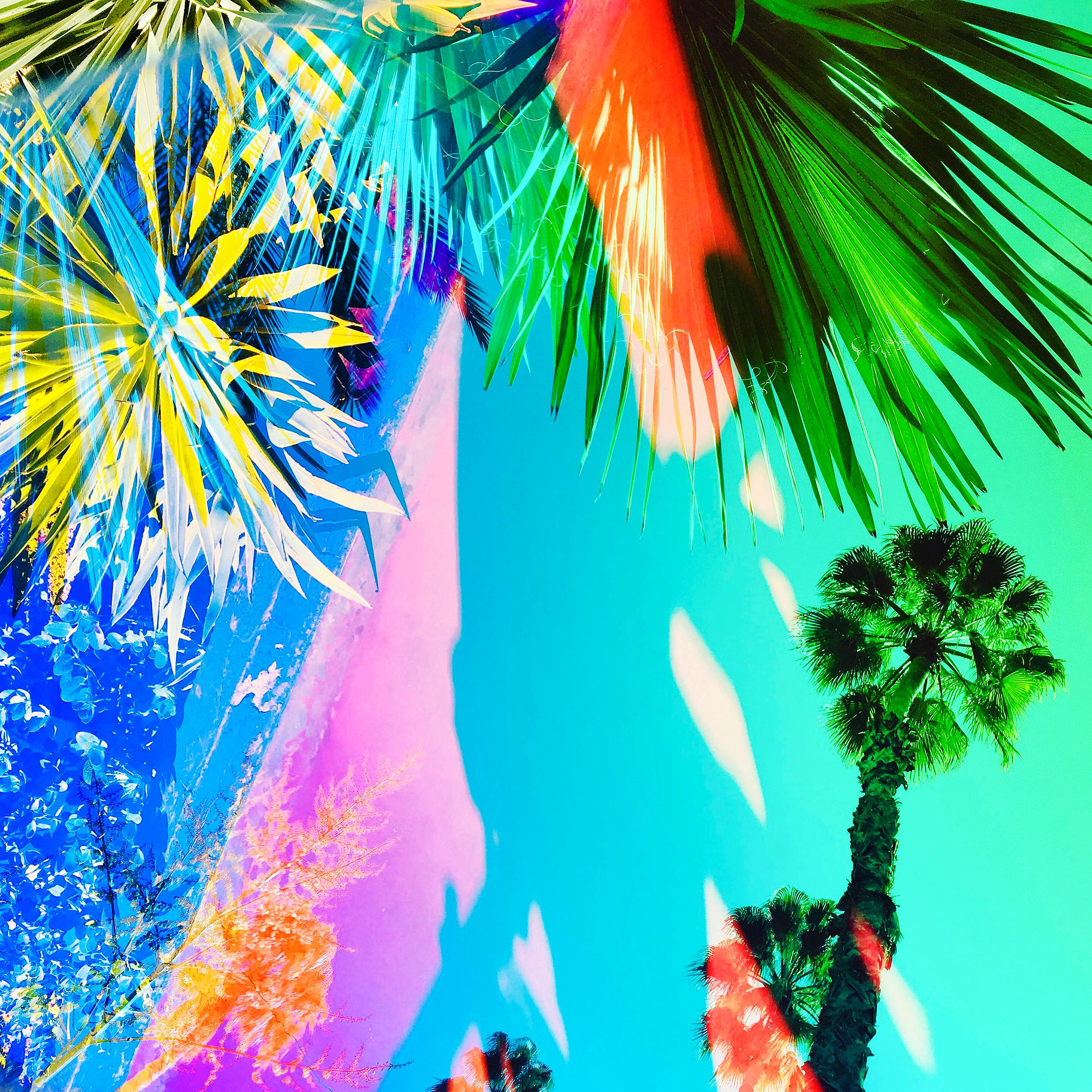 Untitled #50' de la série Heterotopia est une impression chromogénique éblouissante de la photographe contemporaine Karine Laval et est disponible dans ce format en édition de 5. 

L'imagerie aux couleurs vives, presque hyperréaliste, de l'œuvre