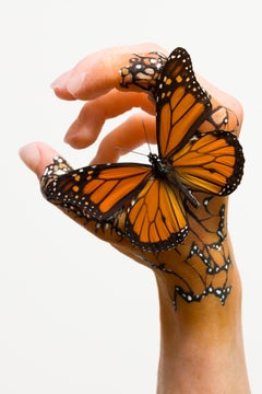 Adaptation I Contemporary Sculpture, Silicone and Mixed Media, 2010-