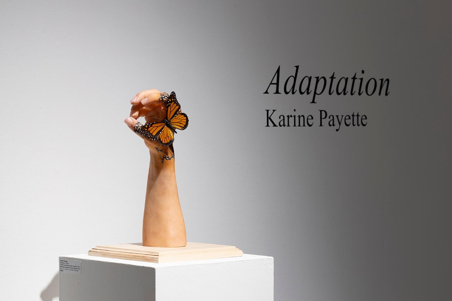 Adaptation I - Contemporary Sculpture by Karine Payette
