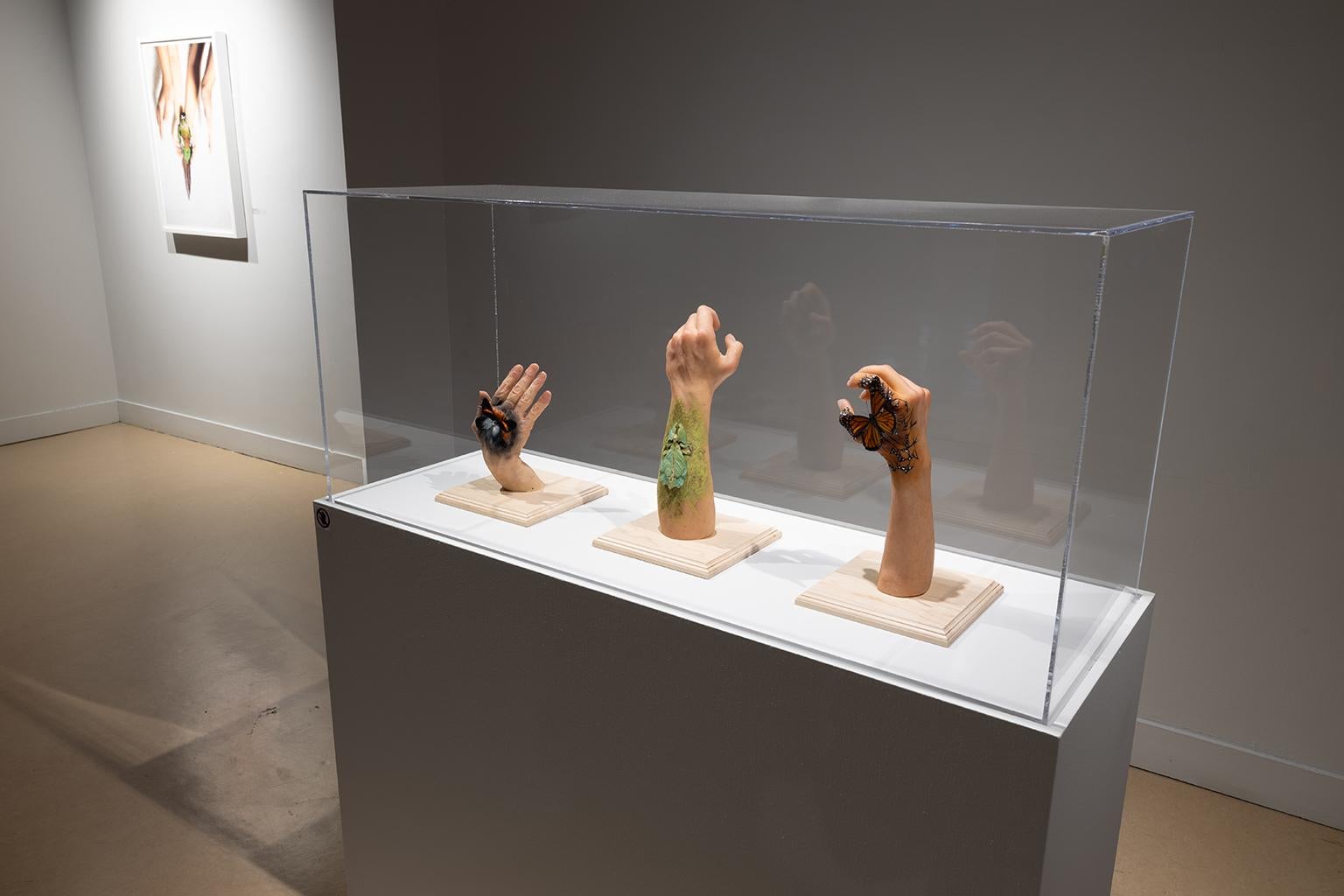 Adaptation IX - Contemporary Sculpture by Karine Payette