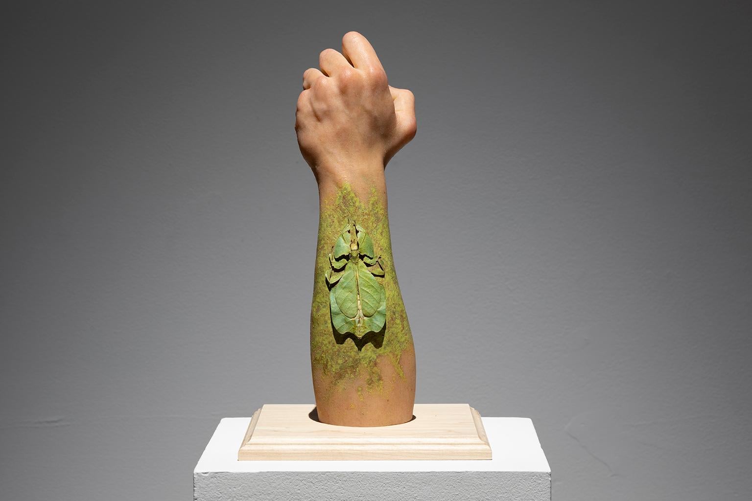 Figurative Sculpture Karine Payette - Adaptation IX