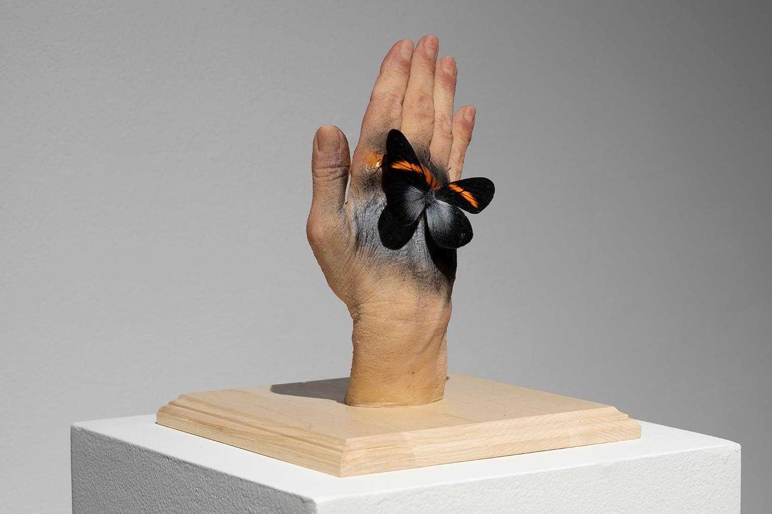 Adaptation VI - Sculpture by Karine Payette