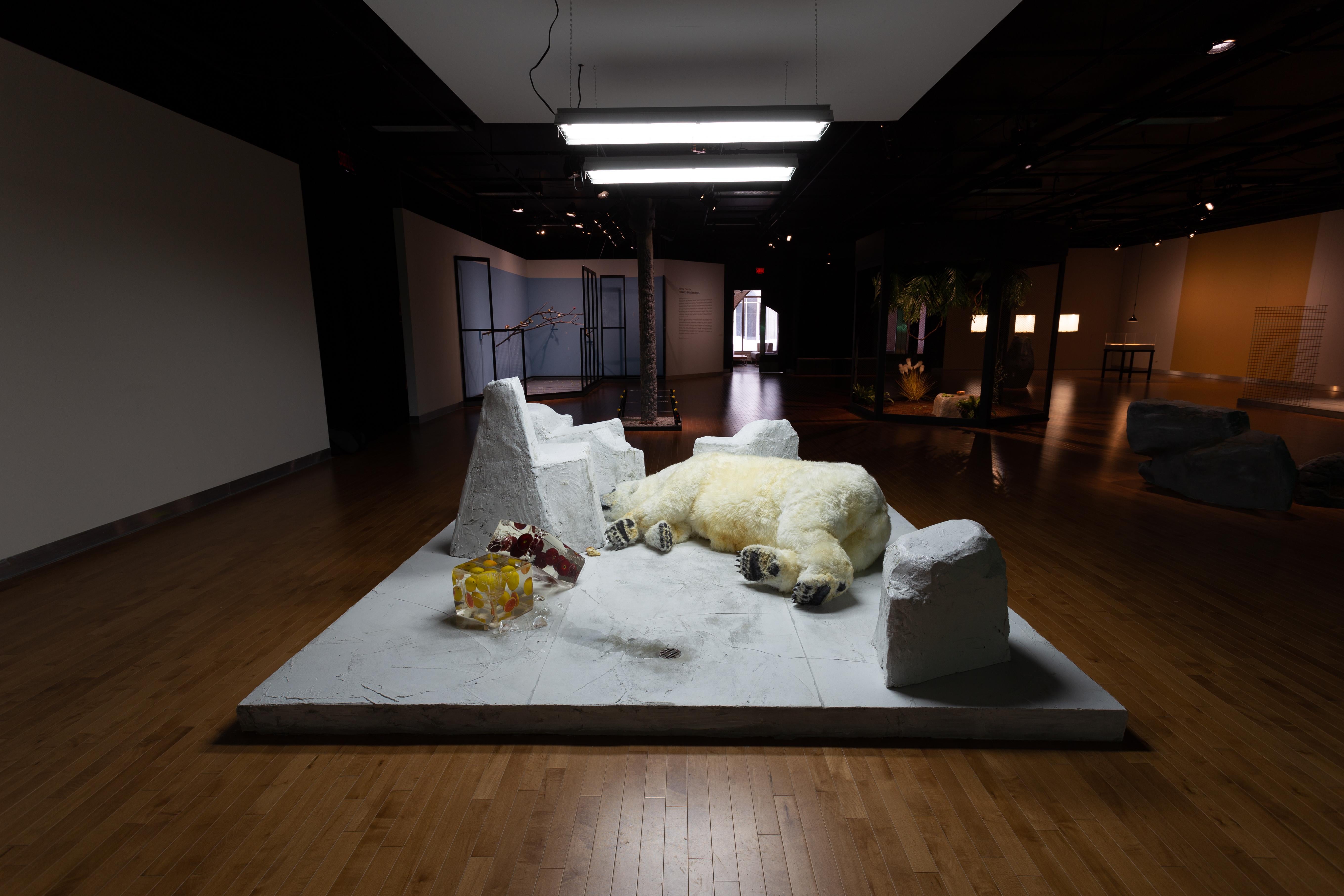 Karine Payette Figurative Sculpture - Espaces sans espèces III (Polar Bear)