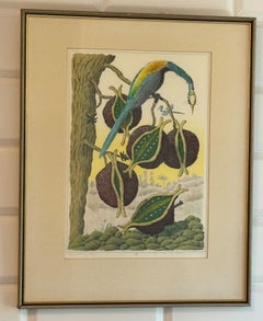 Karl Axel Pehrson Botanical Motif With Bird, Color Lithograph