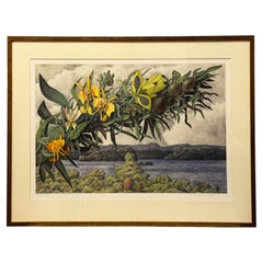Karl Axel Pehrson Composition Exotic branching plants, Ruólo”Lithograph
