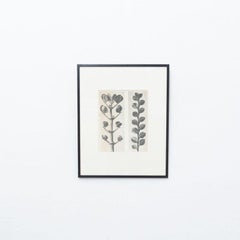 Karl Blossfeldt — Black and White Framed Photogravure, circa 1942