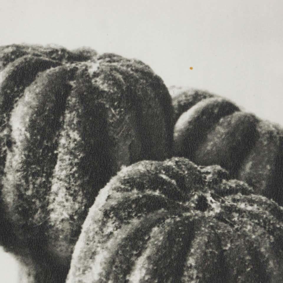 Karl Blossfeldt Fotografia botanica in bianco e nero con fiori, 1942 in vendita 3