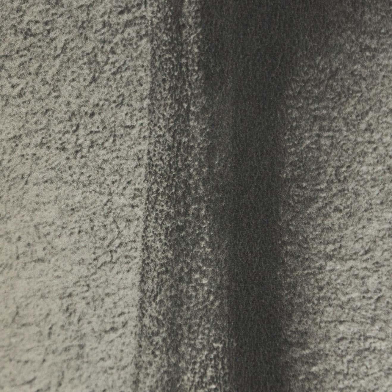 Karl Blossfeldt Fotograbado blanco negro de flores Fotografía botánica, 1942 en venta 3