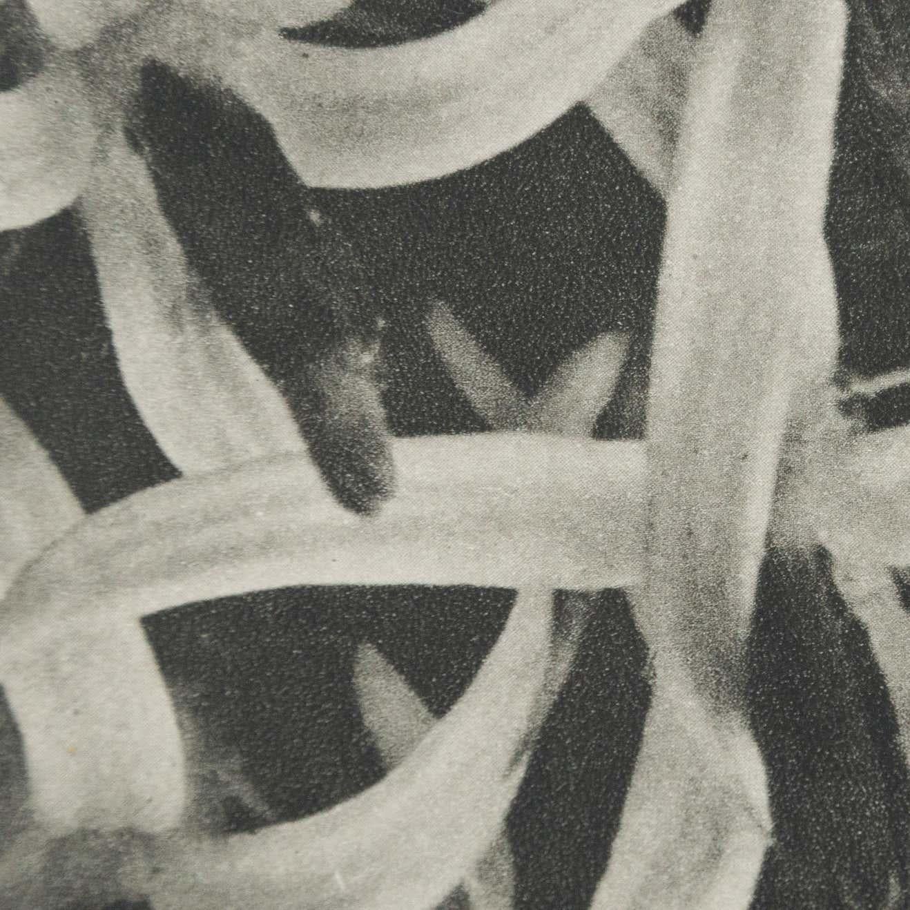 Karl Blossfeldt, photogravure de fleurs noires et blanches, photographie botanique, 1942 en vente 3