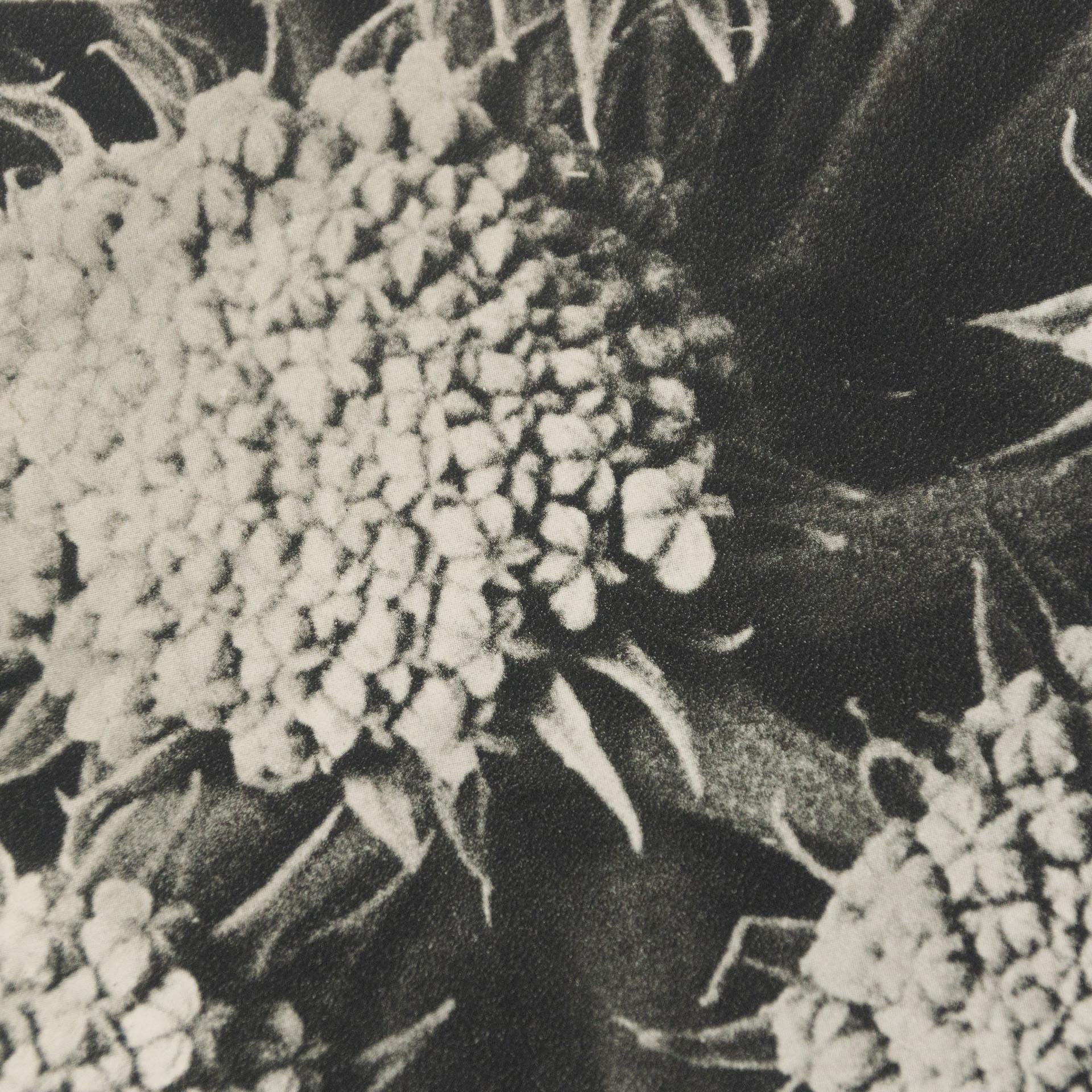 Karl Blossfeldt Black White Flower Photogravure Botanic Photography, 1942 4