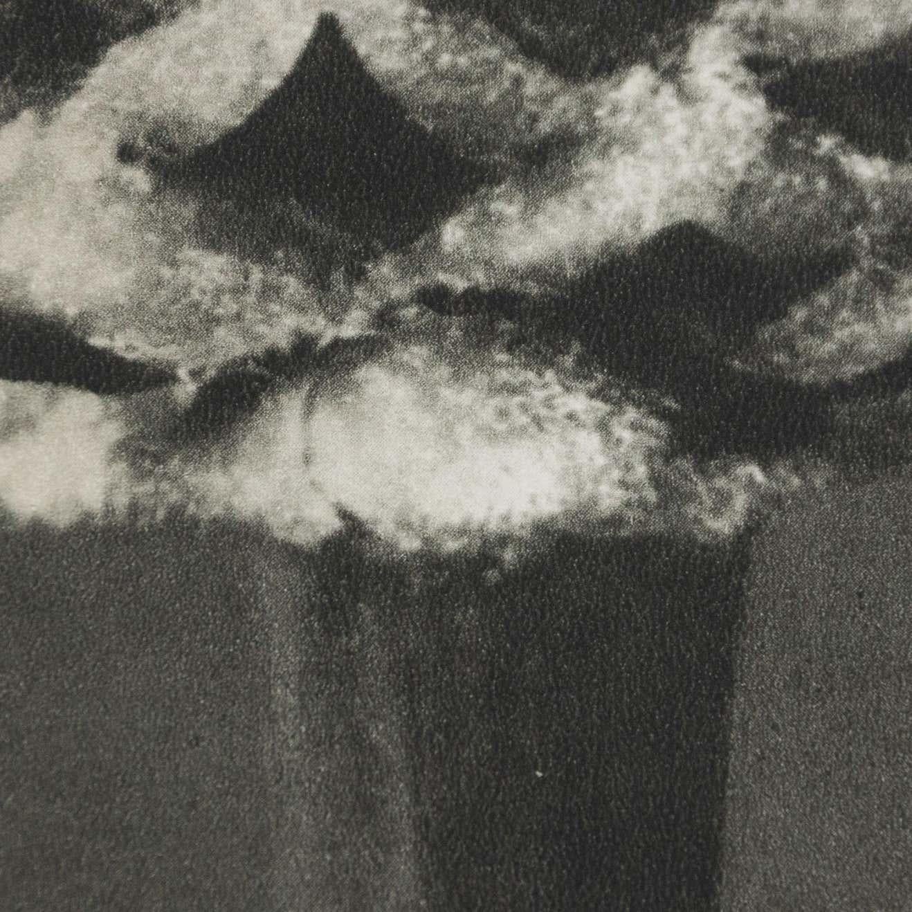 Karl Blossfeldt, photogravure de fleurs noires et blanches, photographie botanique, 1942 en vente 8