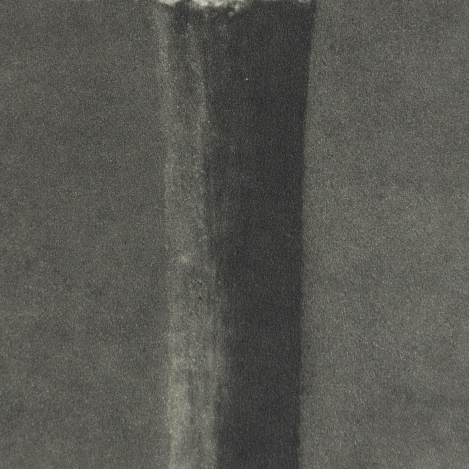 Paper Karl Blossfeldt Black White Flower Photogravure Botanic Photography, 1942