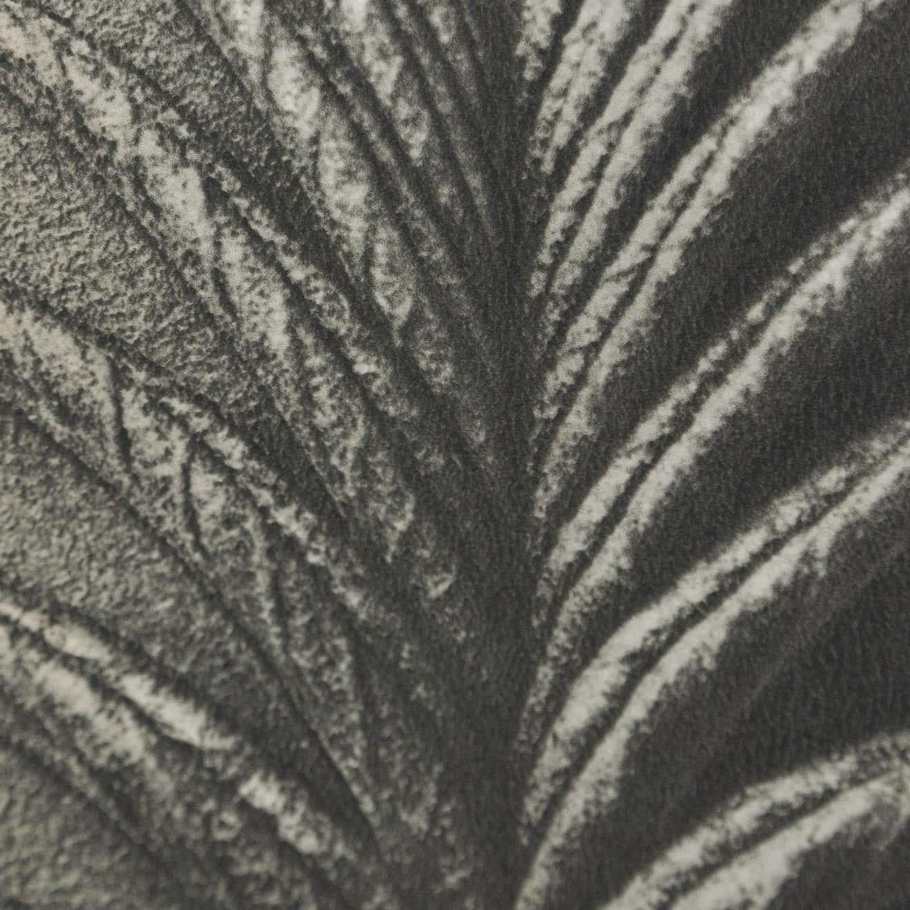 Karl Blossfeldt Fotograbado blanco negro de flores Fotografía botánica, 1942 Papel en venta