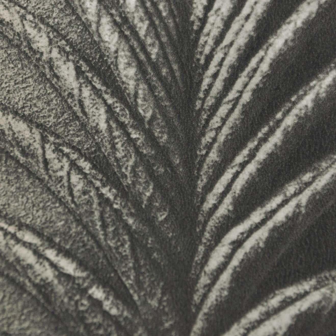 Papier Karl Blossfeldt, photogravure de fleurs noires et blanches, photographie botanique, 1942 en vente