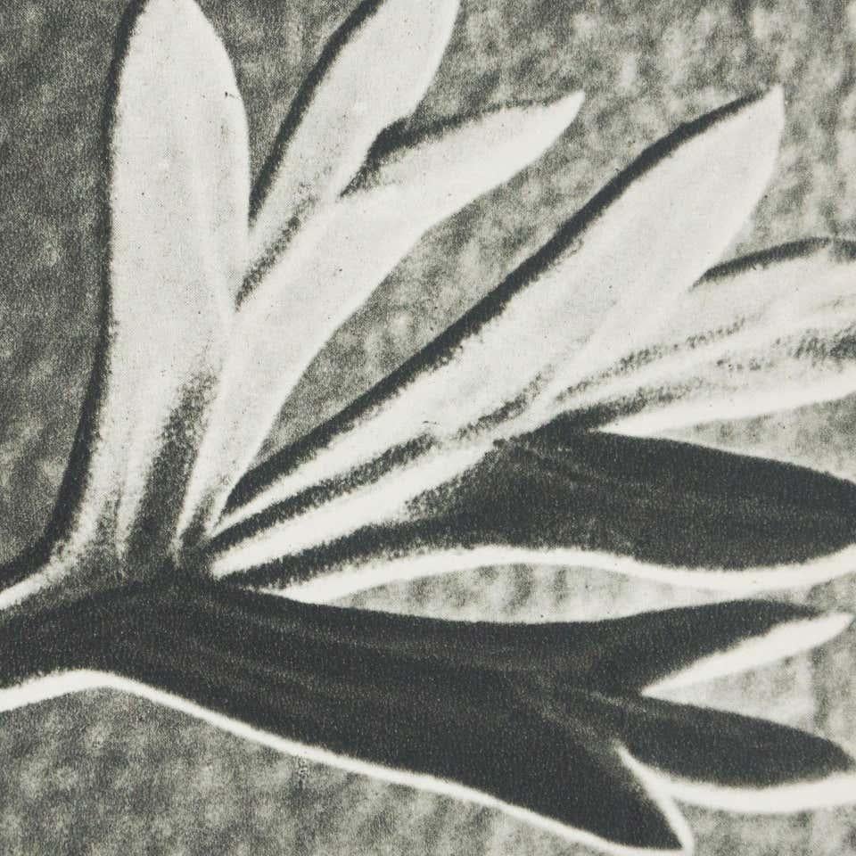 Karl Blossfeldt, photogravure de fleurs noires et blanches, photographie botanique, 1942 en vente 2