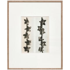 Mid-20th Century Prints