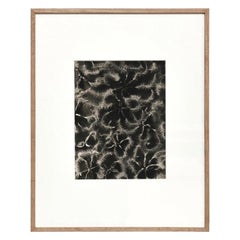 Karl Blossfeldt Fotografia botanica in bianco e nero con fiori, 1942