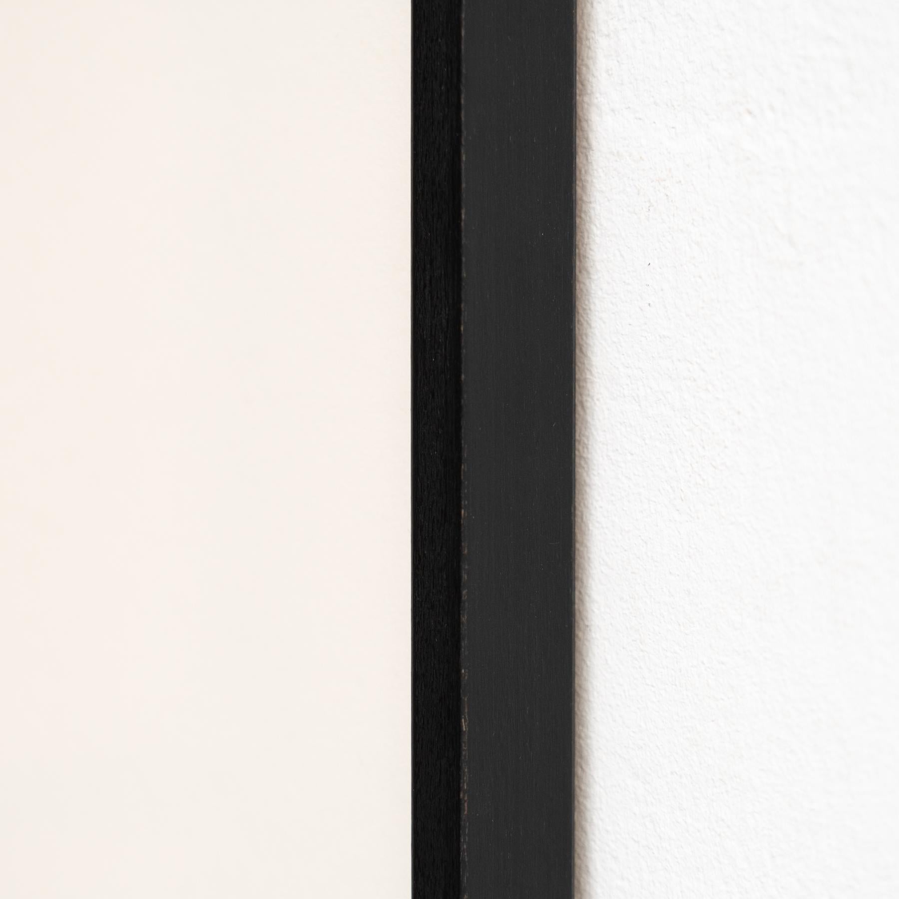 Karl Blossfeldt - Photogravure encadrée : Nature Grace, 1942 en vente 6