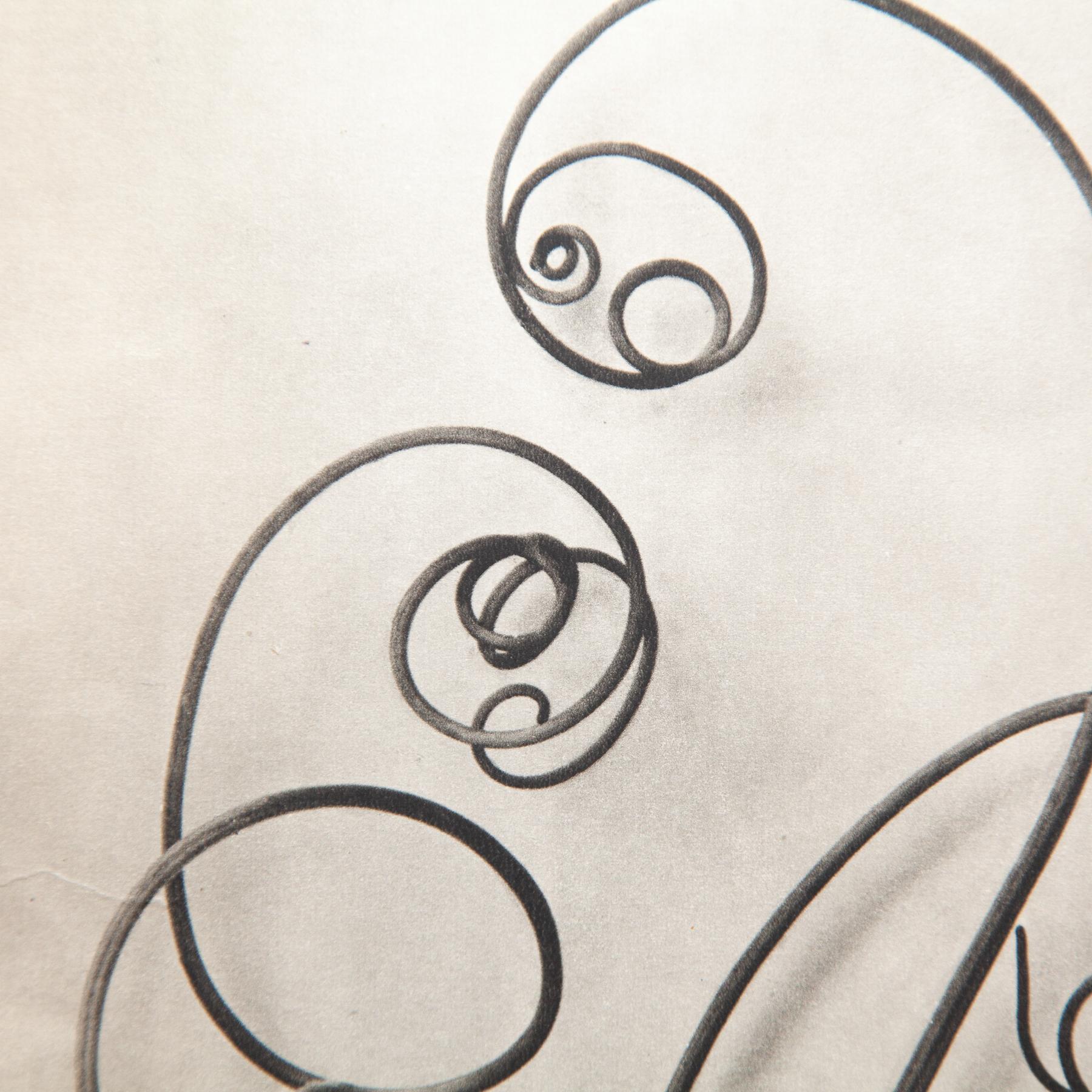 Karl Blossfeldt - Gerahmte Fotogravüre: Natürliche Anmut, 1942 (Deutsch) im Angebot
