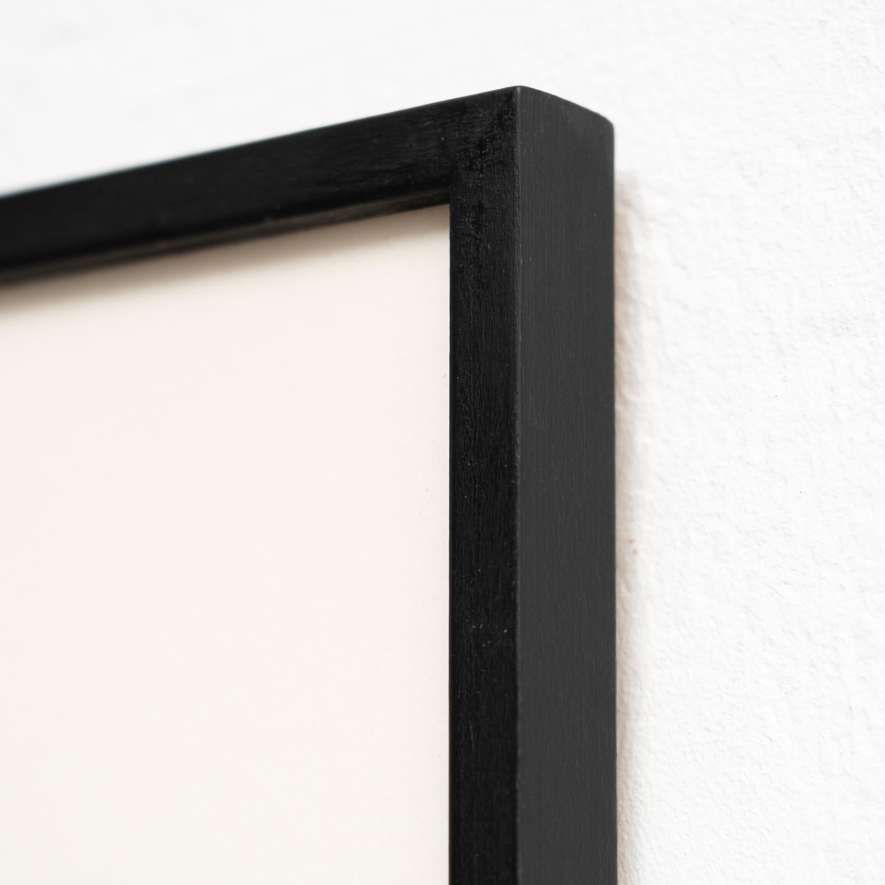 Karl Blossfeldt - Photogravure encadrée : Nature Grace, 1942 en vente 1