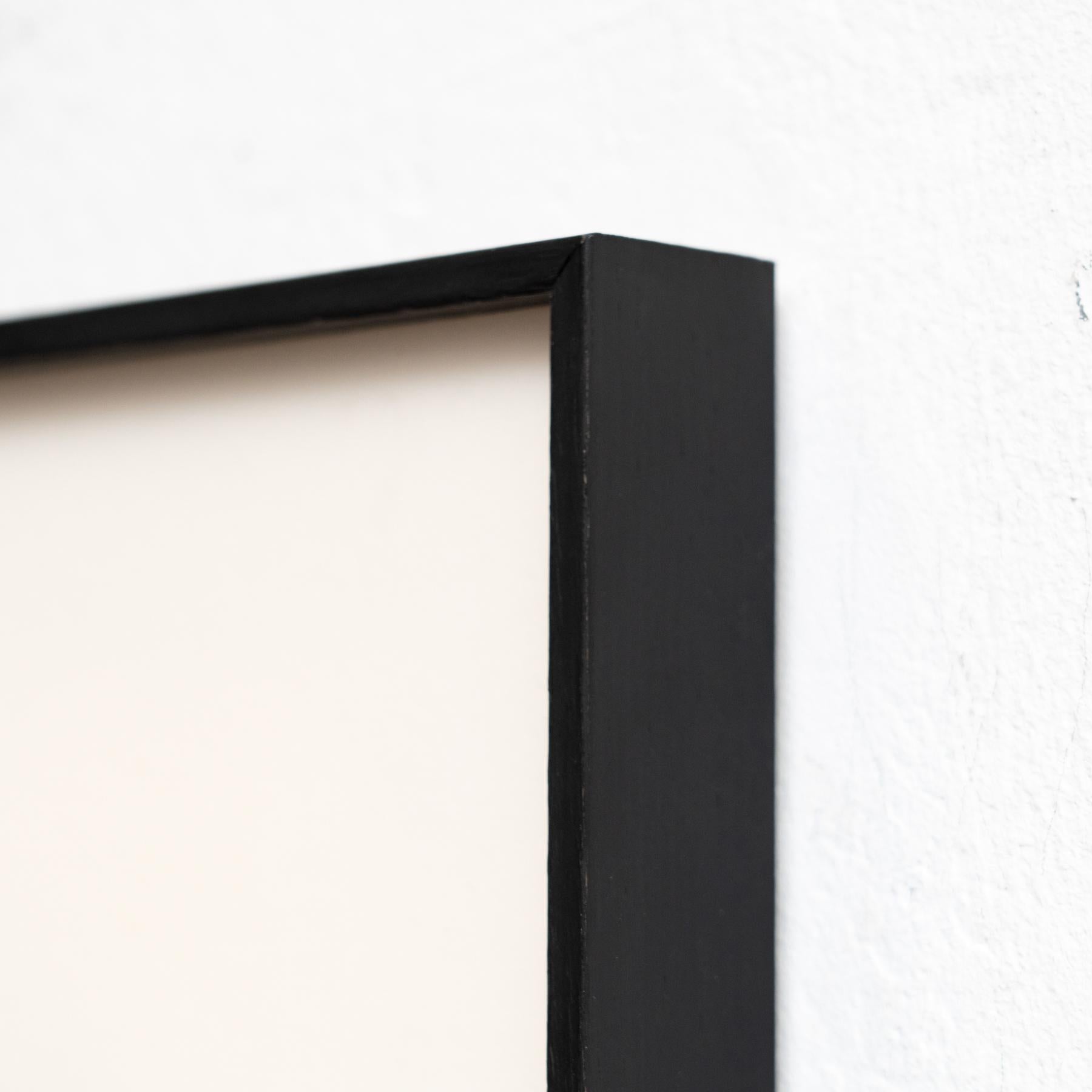 Karl Blossfeldt - Gerahmte Fotogravüre: Natürliche Anmut, 1942 im Angebot 2