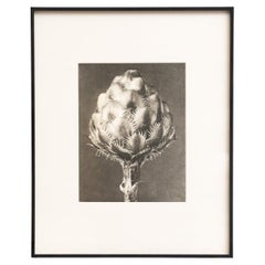 Prints