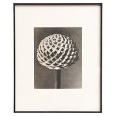 Prints