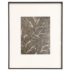 Karl Blossfeldt — Framed Photogravure: Natural Grace, 1942