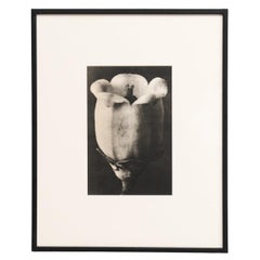 Prints